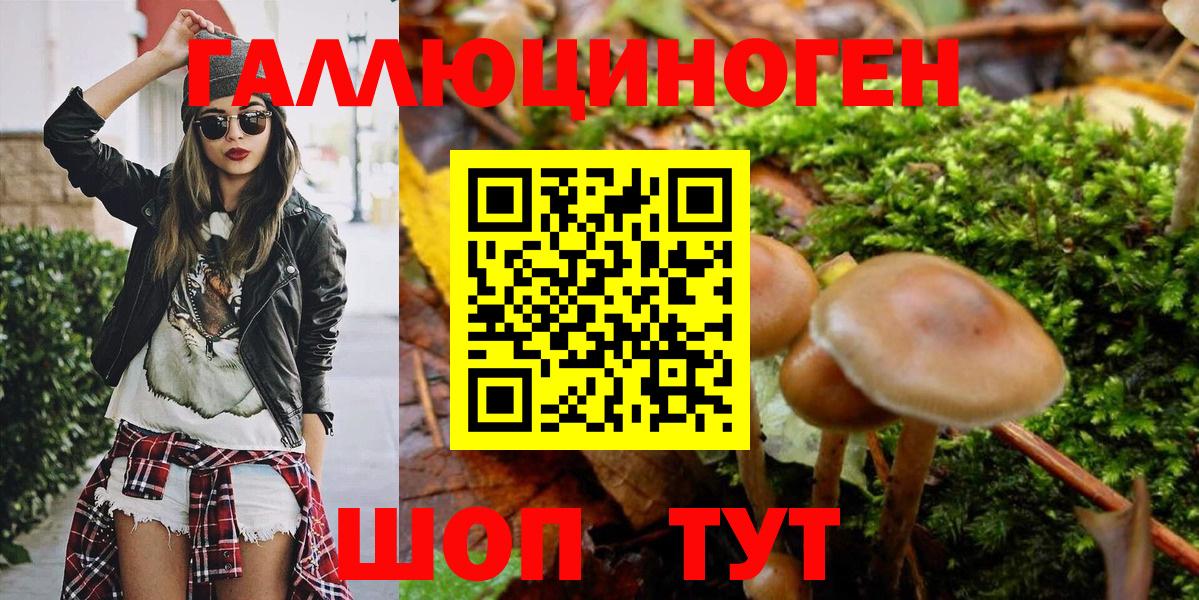 Галлюциногенные грибы Magic Shrooms Тихорецк