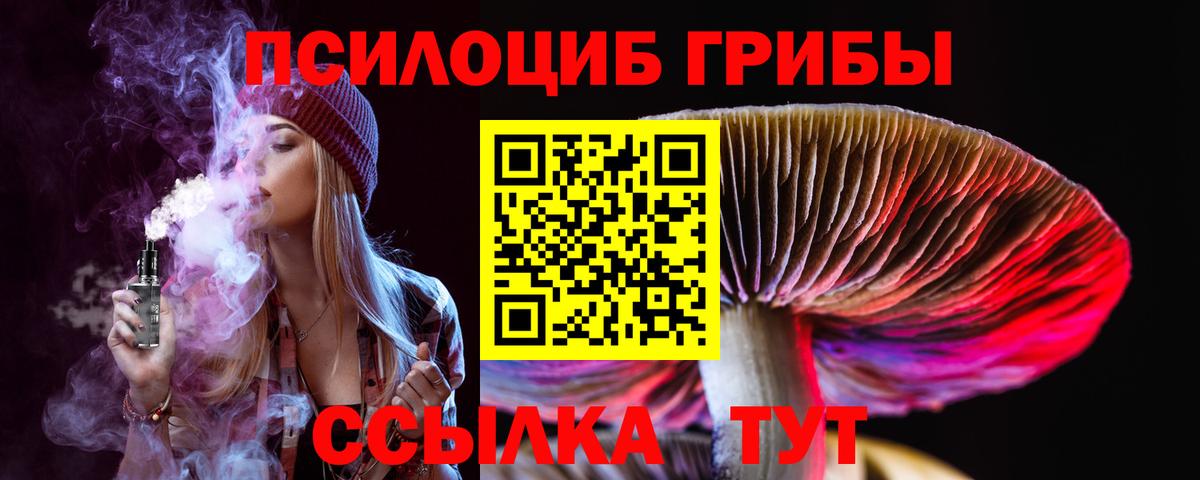 Псилоцибиновые грибы GOLDEN TEACHER  наркота  Галлюциногенные грибы мухоморы  Тихорецк  Вход с VPN 